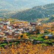 Pueblo de El Torno rodeado de cerezos, y bosques multicolor.