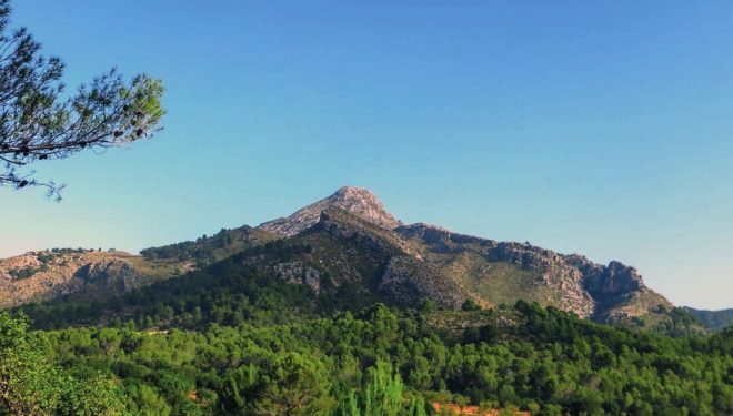 La silueta piramidal del Galatzó es visible desde muchos kilómetros a la redonda.