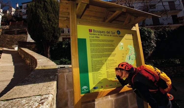 Sendero GR 247 Bosques del Sur. Jaén