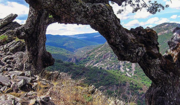 Cuchillar del Asomante visto desde el camino.