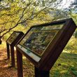 Ruta por la Reserva Natural de la garganta de los Infiernos