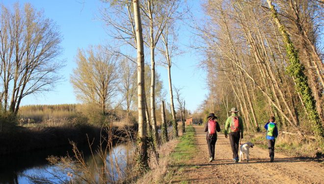 Caminando en familia por el Canal de Castilla