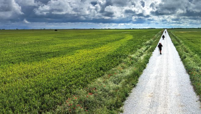 Camino de Santiago por Palencia