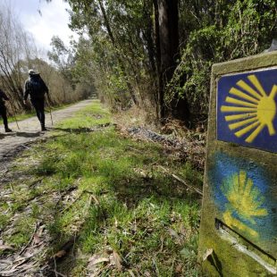 Camino de Santiago. Entre Sobrado dos Monxes y Arzúa