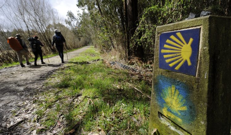 Camino de Santiago. Entre Sobrado dos Monxes y Arzúa