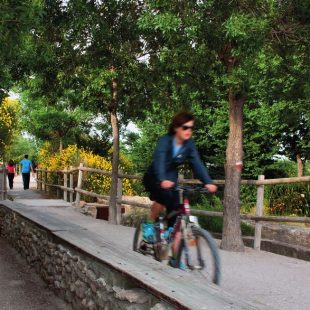 El Camino Natural del Canal de María Cristina y sus ramales es utilizado por muchos albaceteños para montar en bici o sencillamente caminar  (FOTOS: CORTESÍA AYUNTAMIENTO DE ALBACETE)