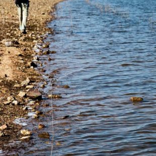 Caminante por la laguna de Cornalvo  ()