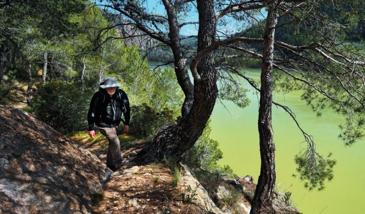 El Camino Natural del Ebro se ajusta a la orilla del río en un tramo entre Móra d’Ebre y Benifalle  (RAFAEL LÓPEZ MONNÉ)