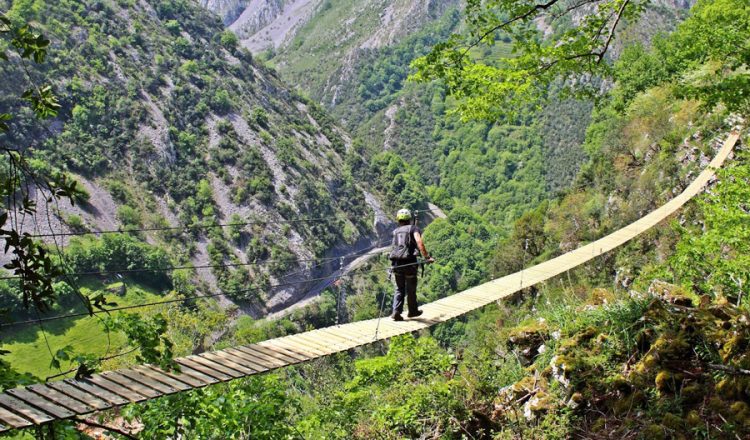 Ferrata del Parque Multiaventura de Poga (Asturias)  ()