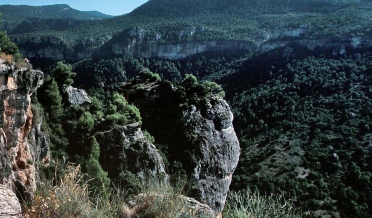 Un grupo de caminantes en la cornisa natural que hay al principio del camino viejo de Siurana