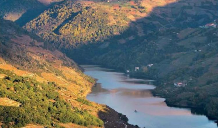 El cañón del río Sil. Al fondo se aprecia en parte el cañón del río Mao