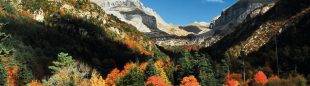 Vista general del valle de Aragüés del Puerto, en los bosques de Labati en Huesca