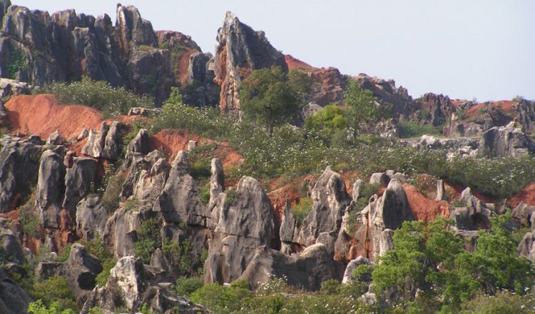 Paisaje perteneciente a la Sierra Norte de Sevilla  (Andalucia.org)