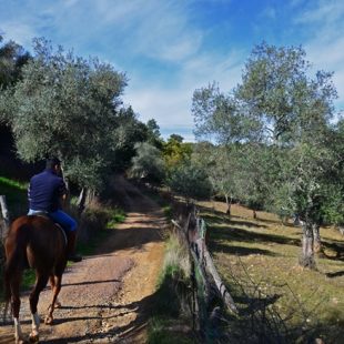 Sendero a caballo en la Sierra de Arcena