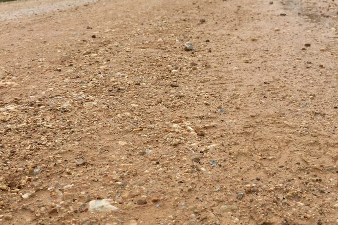 Foto ganadora del concurso de fotografías del Camino de Santiago 2016 titulada La prisa mata.  (Jesús Palencia Ortega)