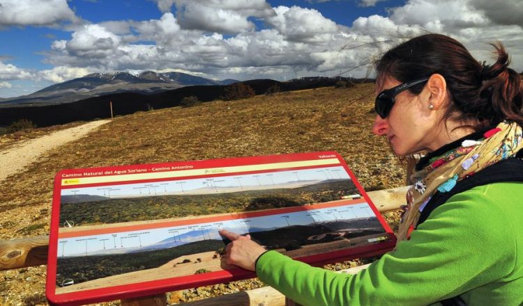 El Moncayo aparece al fondo presidiendo el paisaje que explica un panel de orientación situado en la Sierra del Madero  (EDUARDO VIÑUALES)