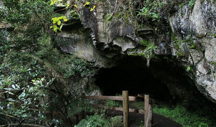 Parque Arqueológico de La Zarza.