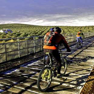 Un grupo de ciclistas pasa para uno de los puentes de la Vía Verde de la Subbética  ()