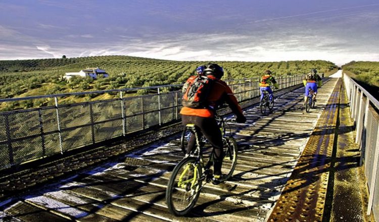 Un grupo de ciclistas pasa para uno de los puentes de la Vía Verde de la Subbética  ()