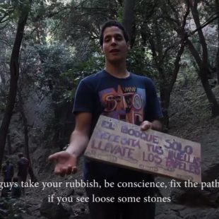 Refuerzo del proyecto Bosque mágico de Chile