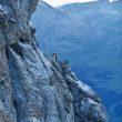 Ueli Steck escalando en zapatillas de running el Jungfraupor por la Berner Oberland.  (Robet Boesch)