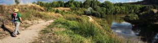 Un caminante en la senda del Duero entre Valbuena y el monasterio de Santa María  (JAVIER PRIETO)