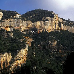 Paredes de Margalef  ()