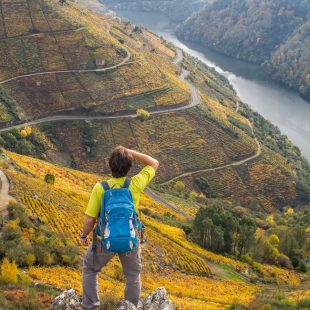 Excursionista contemplando Viñedos del cañón del Sil (Lugo)  (Víctor Barro)