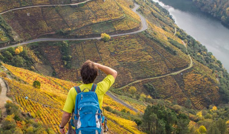 Excursionista contemplando Viñedos del cañón del Sil (Lugo)  (Víctor Barro)