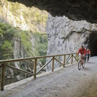 Vía Verde Senda del Oso. Asturias  (Oscar Mulet)