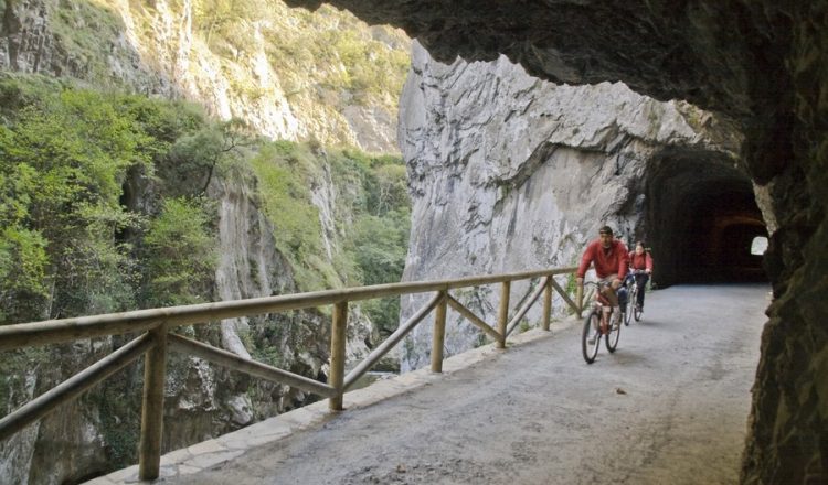 Vía Verde Senda del Oso. Asturias  (Oscar Mulet)